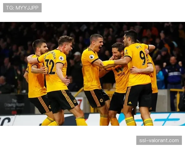 狼队1-0小胜布伦特福德，一场典型的“实用主义”与“数据分析派”的较量